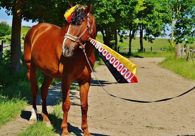 索洛的防守 索洛的防守