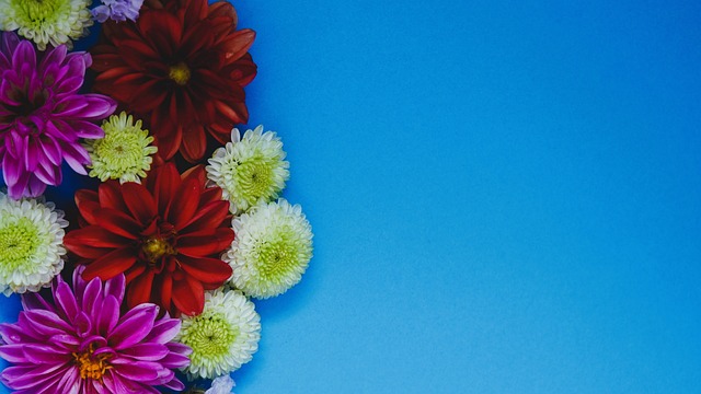 战和媒体宣 战和媒体宣