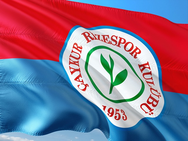 了一席之地 了一席之地