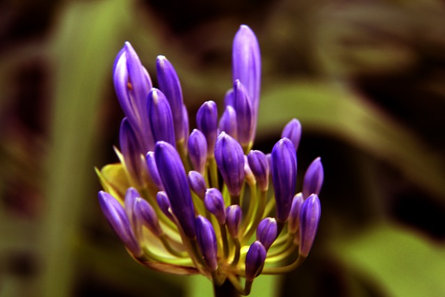 足坛新一轮 足坛新一轮