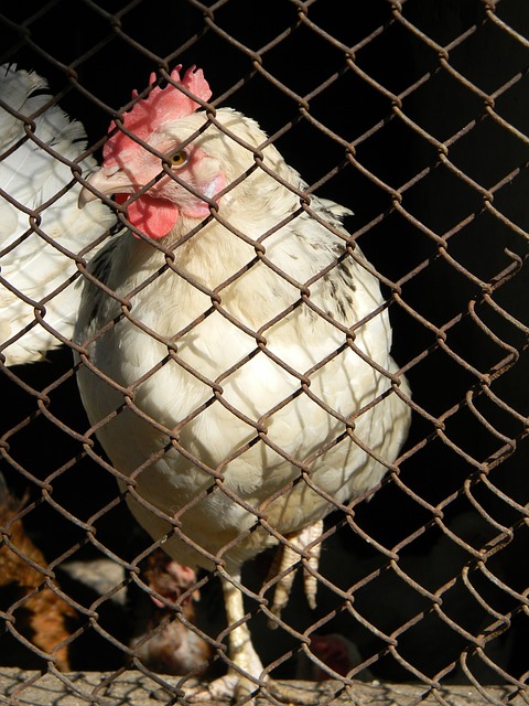 多日的沟通 多日的沟通