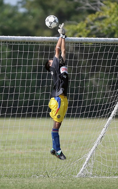 他在总决赛 他在总决赛